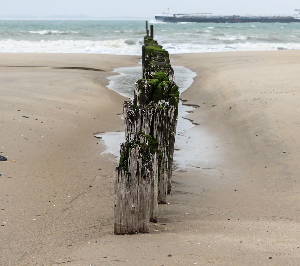 Hotel Bruist Cadzand