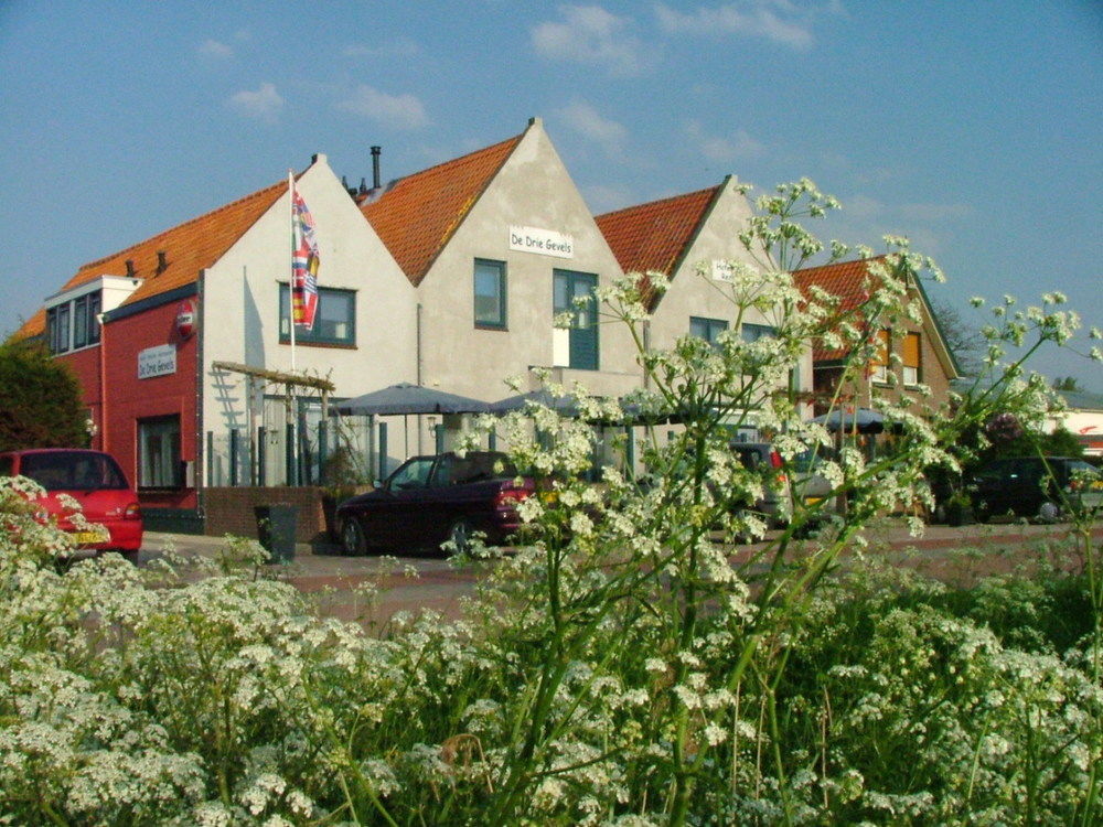 Bruist Hotel Cadzand